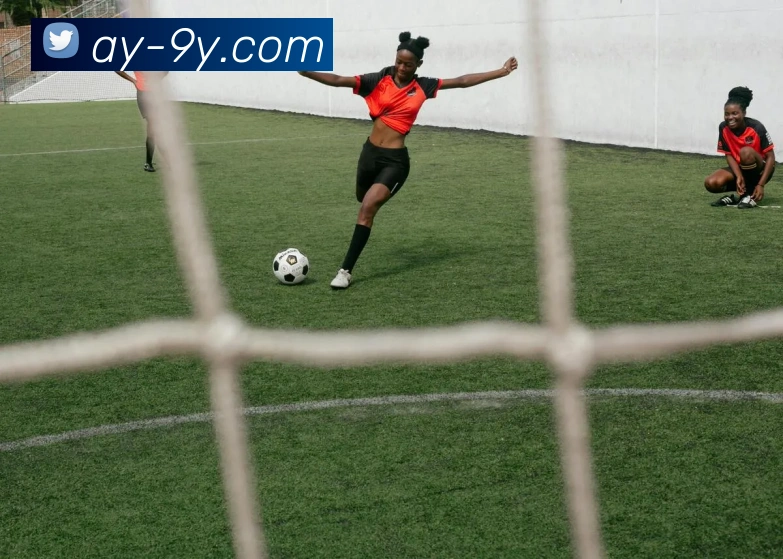 九游官网APP 封面图