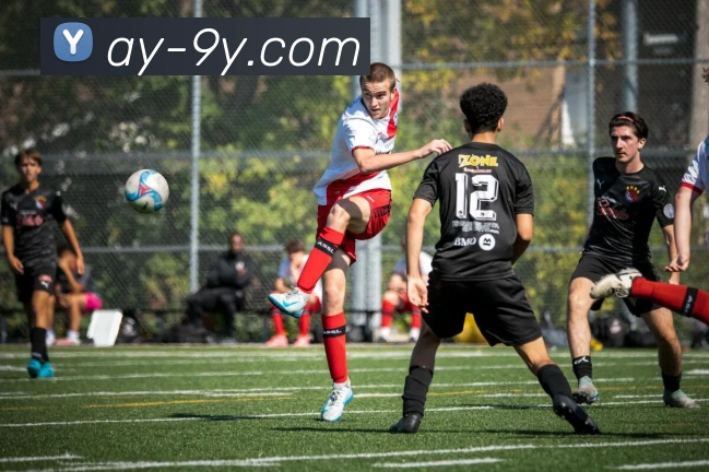 数据防护可视化